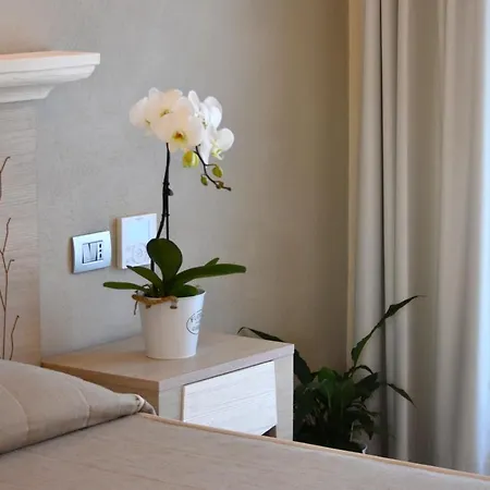 מלון Belvir וילסימיוס